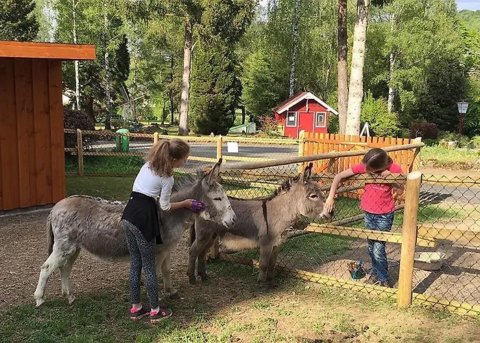 Vulkaneifel Type L-a4